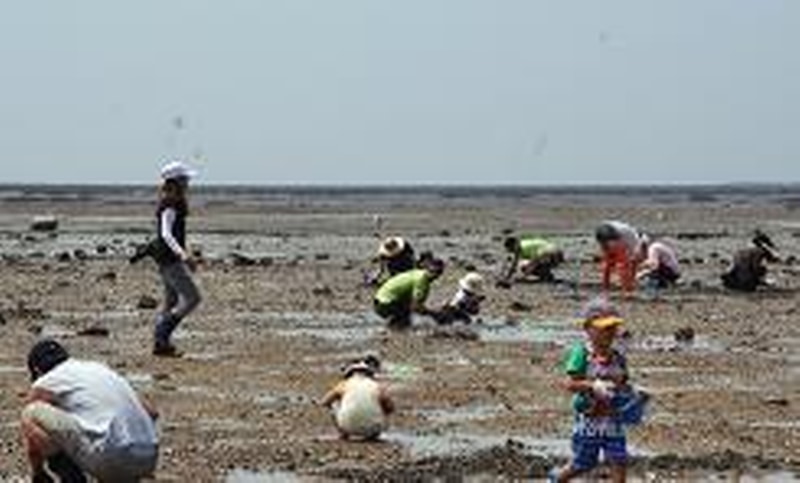 선감 캠핑장 시설 사진 1