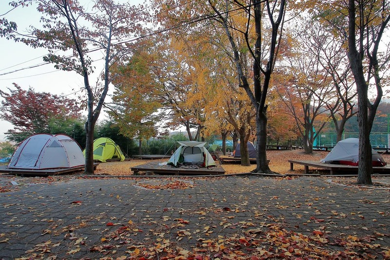 함허동천야영장 시설 사진 4