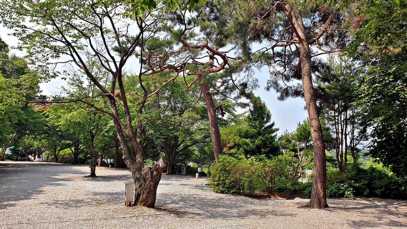 안성비봉산 캠핑장 시설 사진 8