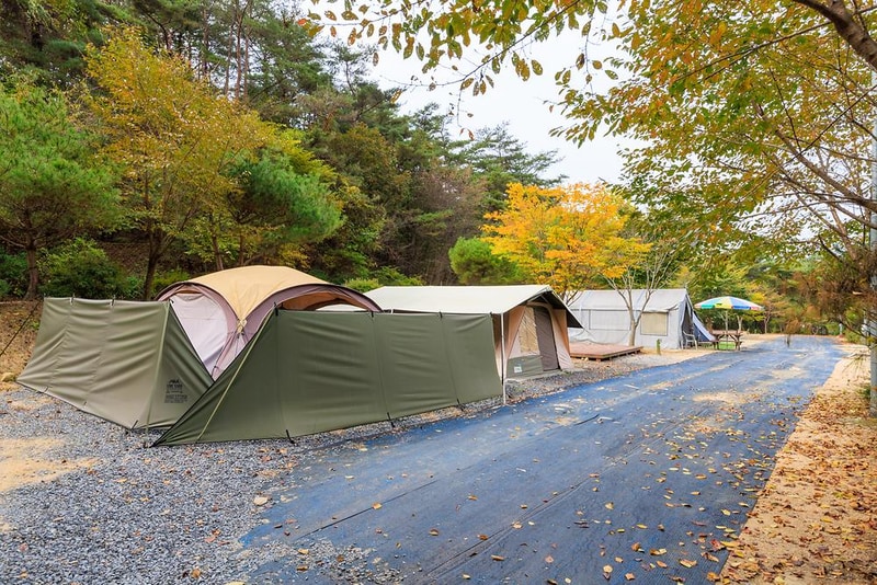 원탑캠핑장 시설 사진 15