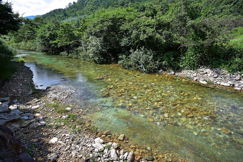 다람쥐 쉼터 시설 사진 10
