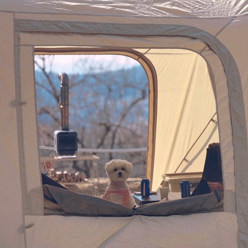 자연과 숲 대표 사진