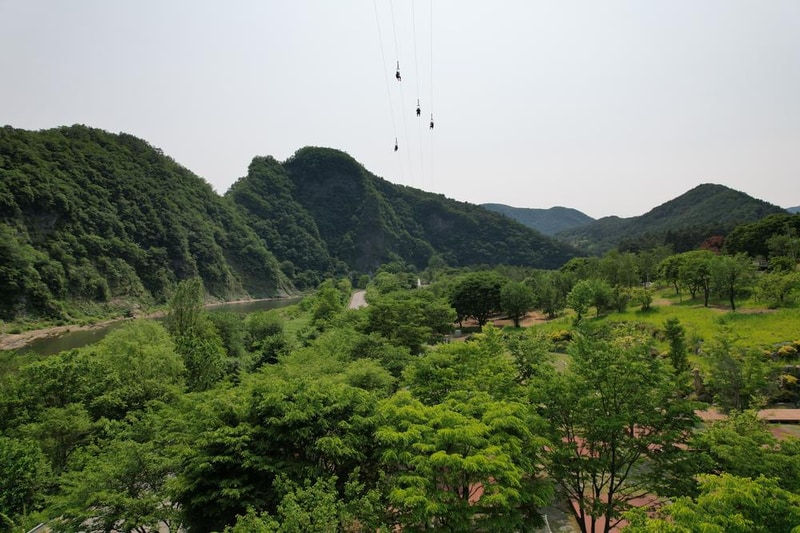 정선군생태체험학습장야영장 펫 동반 캠핑장 시설 사진 84