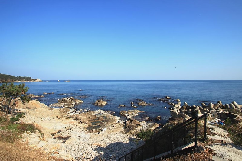 푸른고래 카라반 캠핑 시설 사진 17