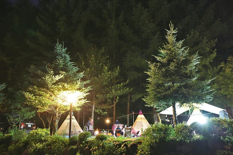 용골송어와 캠핑 시설 사진 5