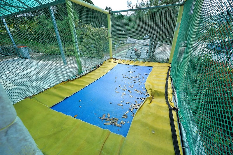 청광새들녘캠핑 시설 사진 21