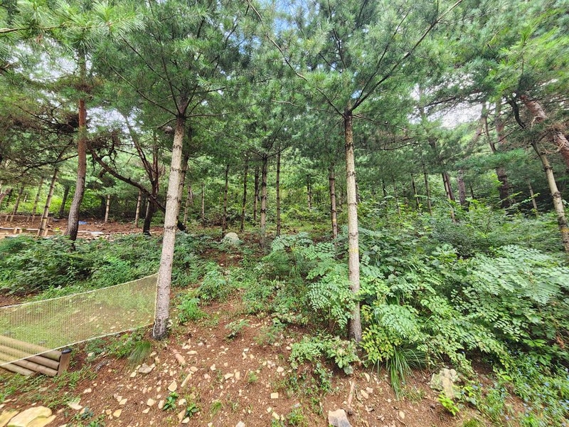 신암저수지 숲속야영장 시설 사진 21