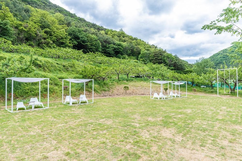 도화지오토캠핑장 시설 사진 16