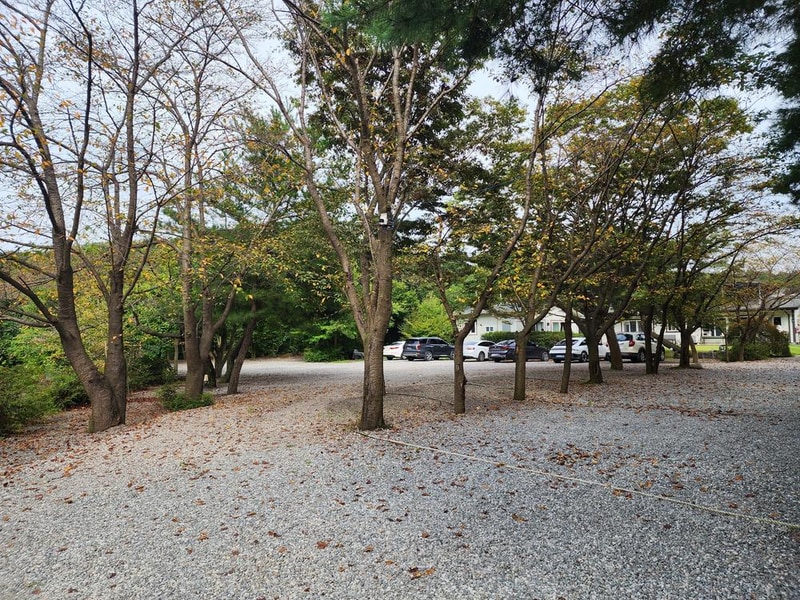 숲속에안뜰 캠핑장 시설 사진 8