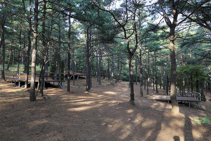 파인힐캠프 시설 사진 8