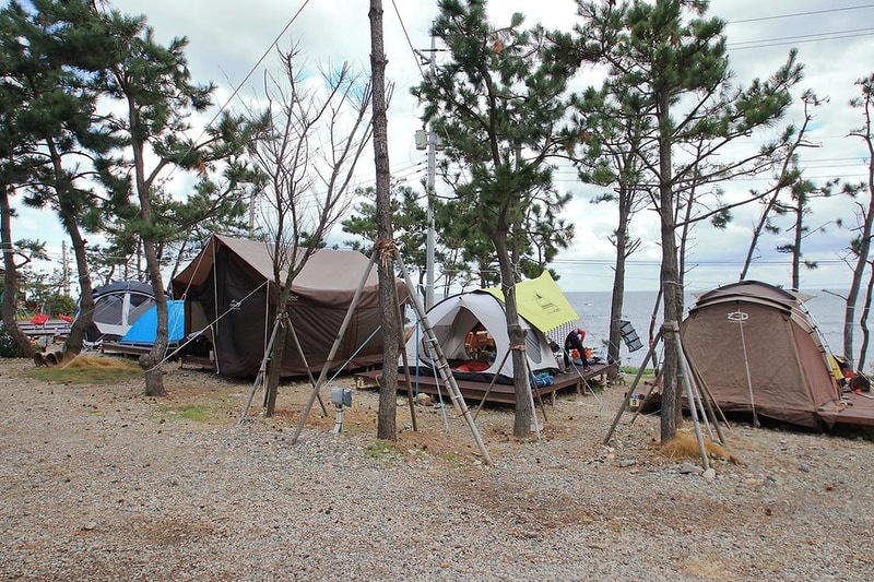 땅끝황토펜션야영장 시설 사진 8