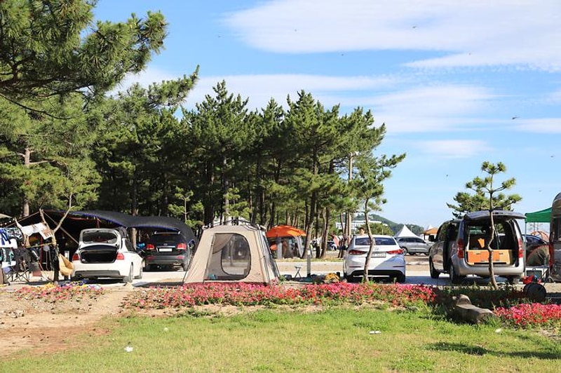 낙산해수욕장 야영장