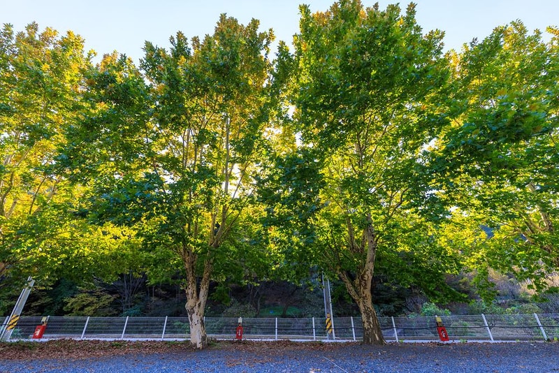 캠프아이엔지 시설 사진 9