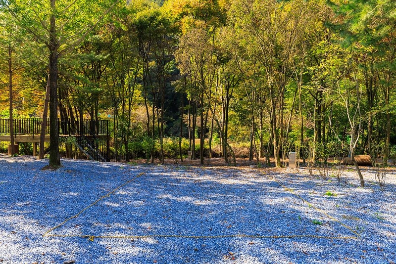 포레스트힐링캠프 시설 사진 10