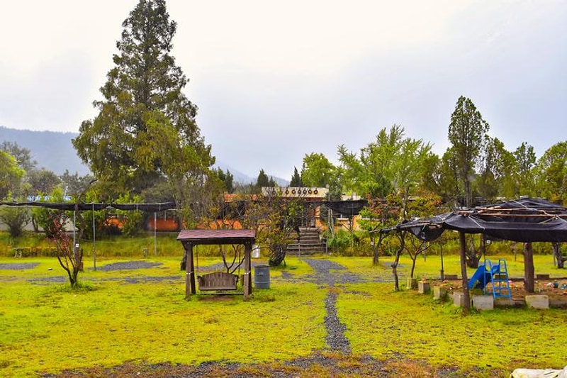 보령 1313캠핑장 대표 사진