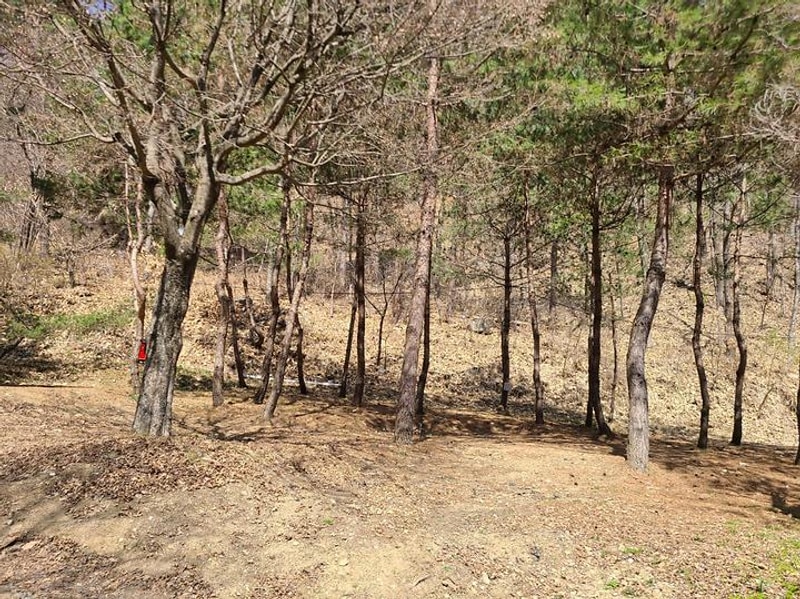 홍천에코밸리 캠핑장 대표 사진