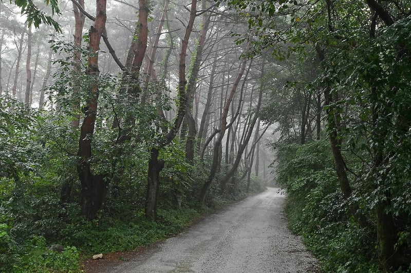 용추자연휴양림야영장 시설 사진 3