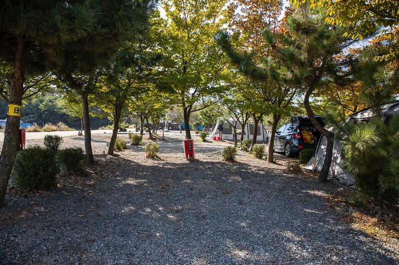 선재오토캠핑장 시설 사진 16