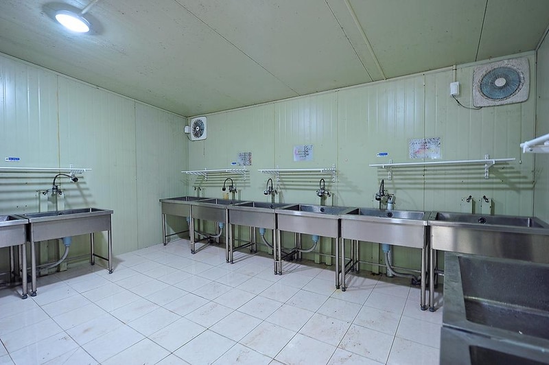 핫도그342애견글램핑카라반 주식회사 시설 사진 3