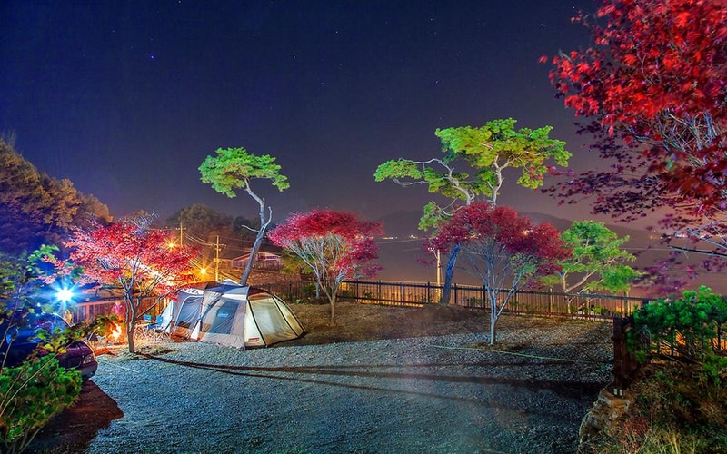 씨사이드힐 캠핑장 시설 사진 13