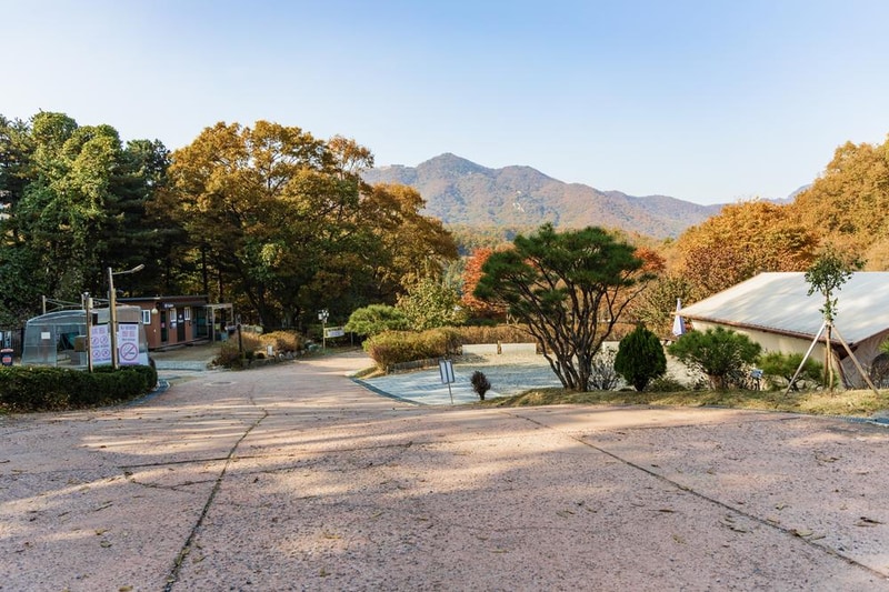 초막골생태공원 느티나무야영장 시설 사진 55