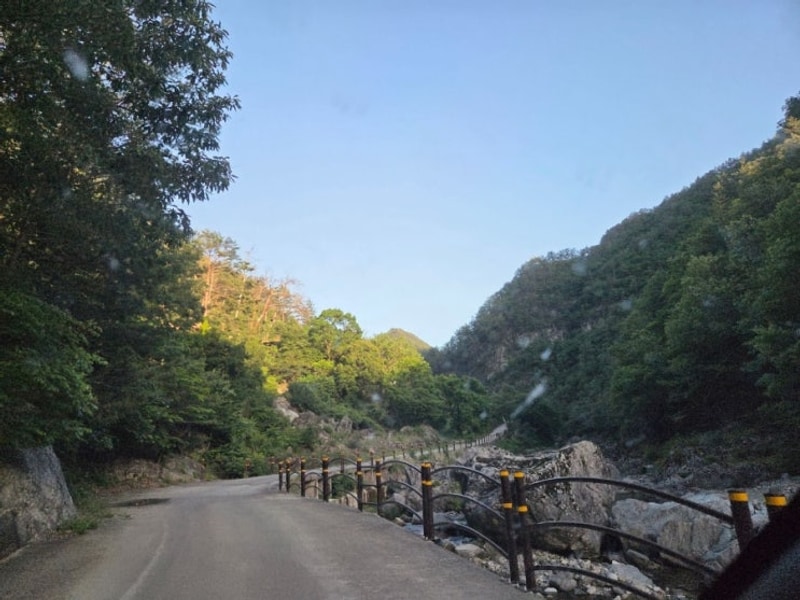 삼척별빛야영장 덕풍계곡 별빛야영장 18번 자리 후기