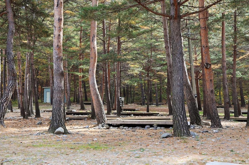 강릉 노추산 힐링캠프 시설 사진 5