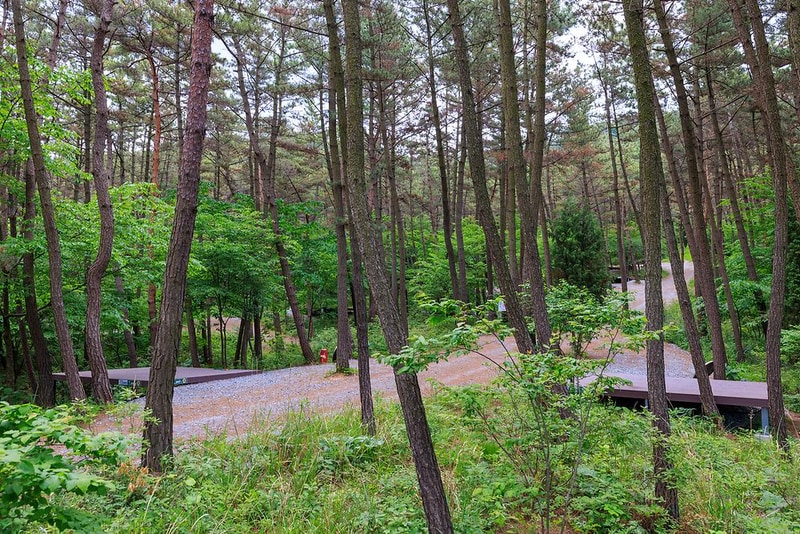 우니메이카 태안점 시설 사진 14