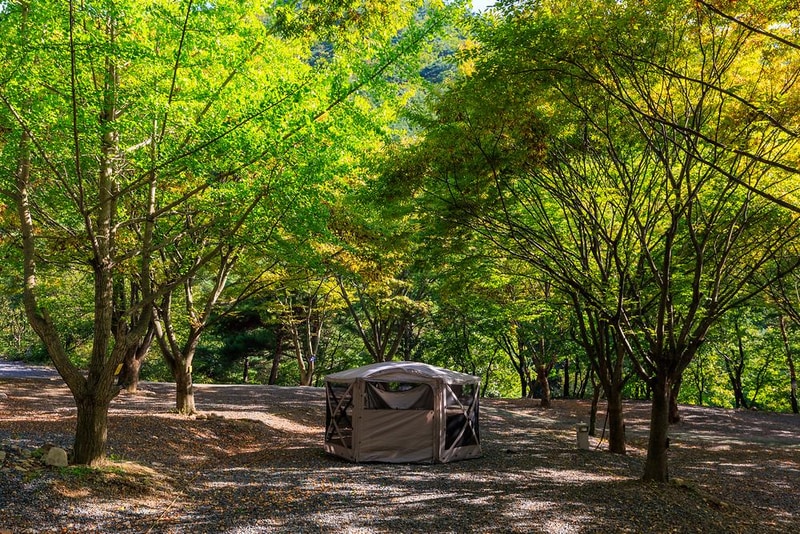 약초농원 캠핑장 시설 사진 18