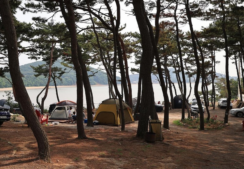 홀리데이캠핑파크 시설 사진 1