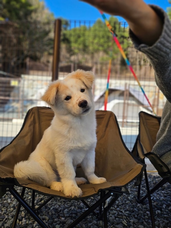 펫츠런파크 대표 사진