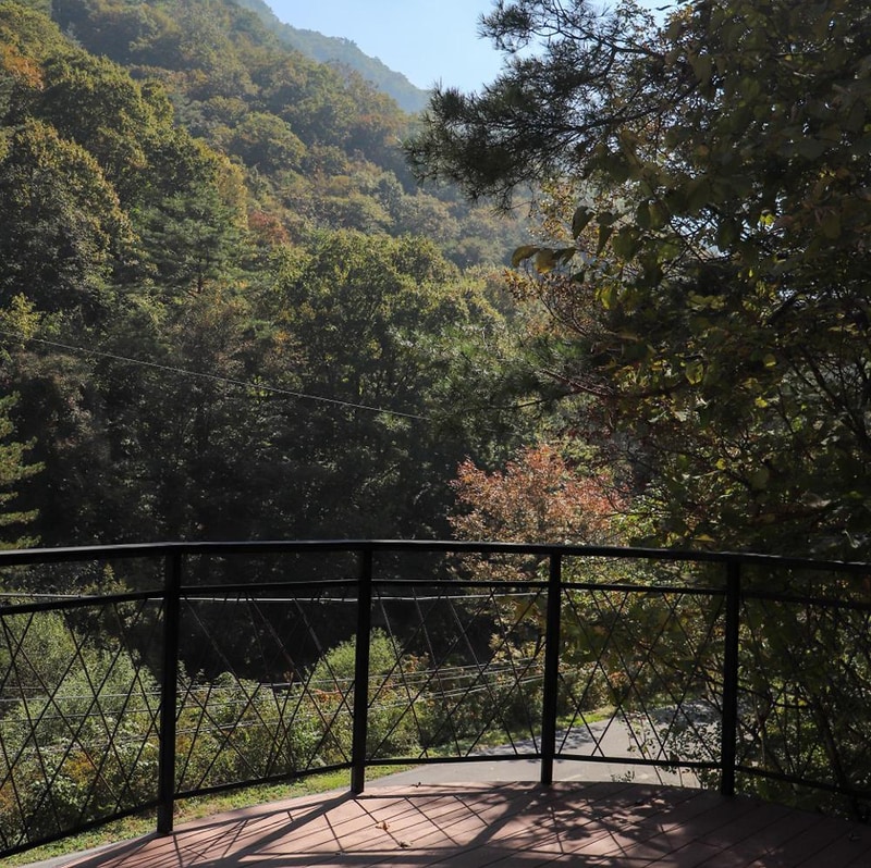 포레 앙비떼 시설 사진 5