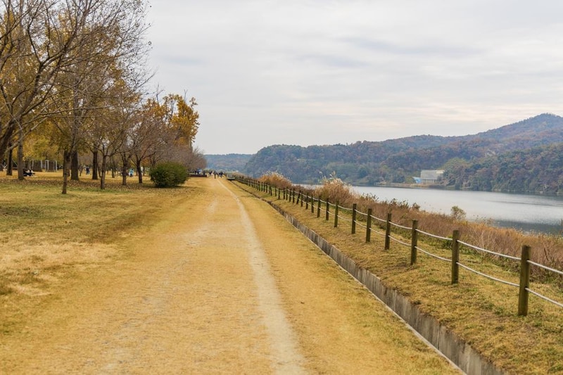 강천섬캠핑장 시설 사진 60