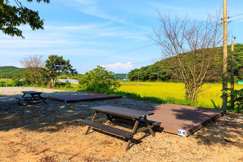 안면도힐링캠핑장 시설 사진 11