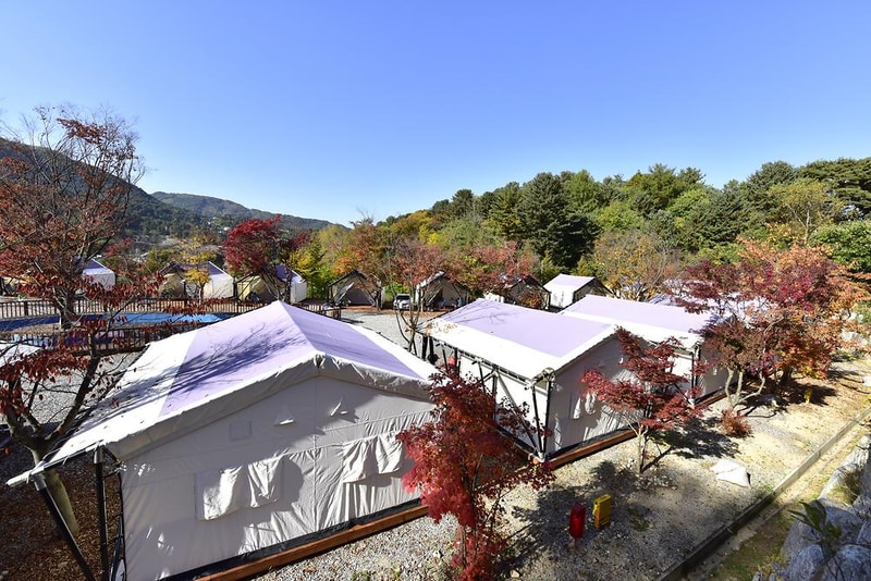 메이플트리글램핑 시설 사진 8