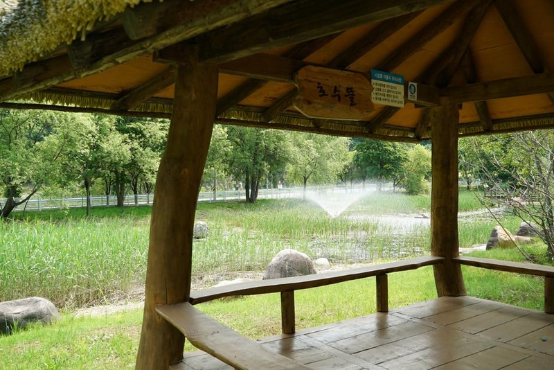 정선군생태체험학습장야영장 펫 동반 캠핑장 시설 사진 30