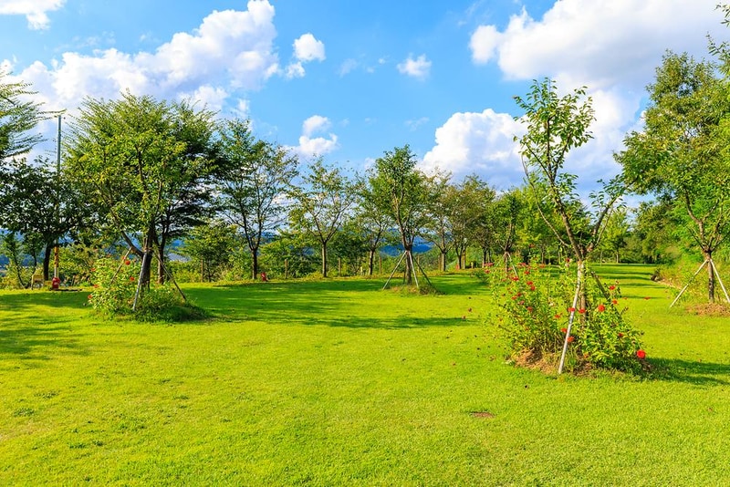 왕산골 관광농원 시설 사진 11
