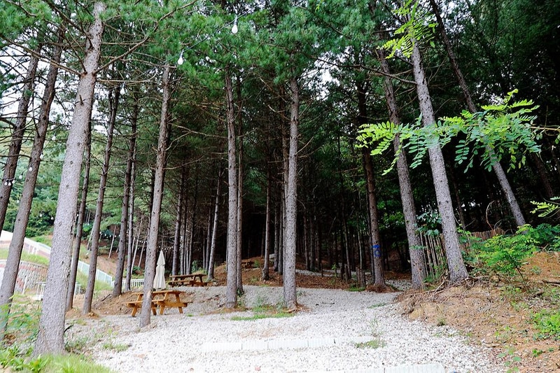 월송리캠프 시설 사진 17