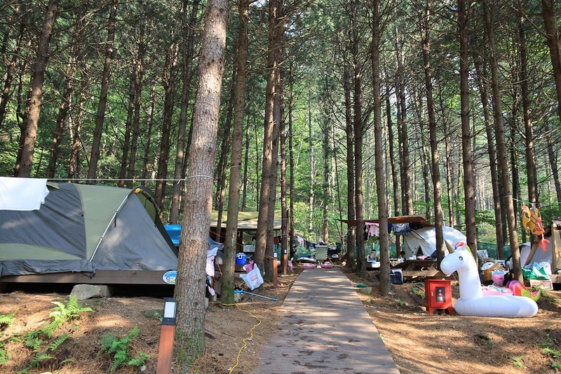 선바위자연캠핑장 시설 사진 21