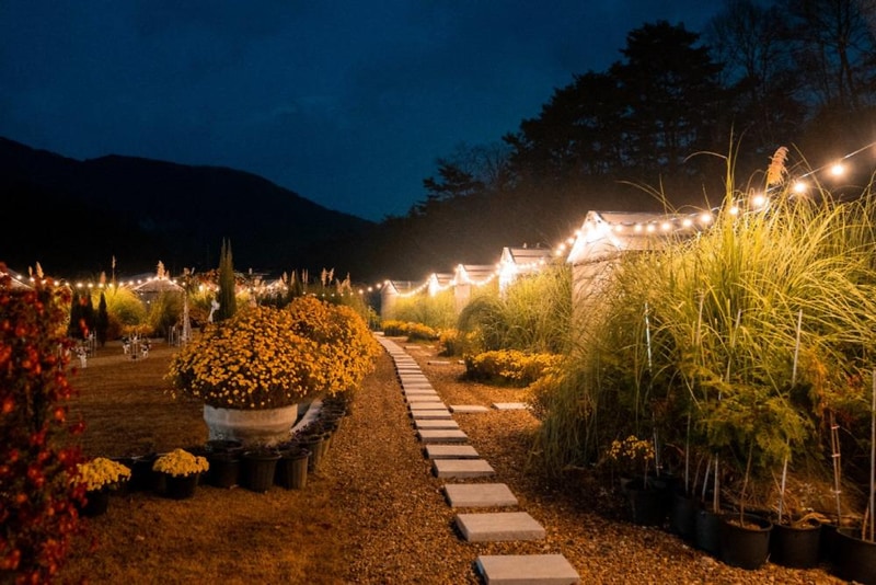 더힐링식물원 야영장 시설 사진 12