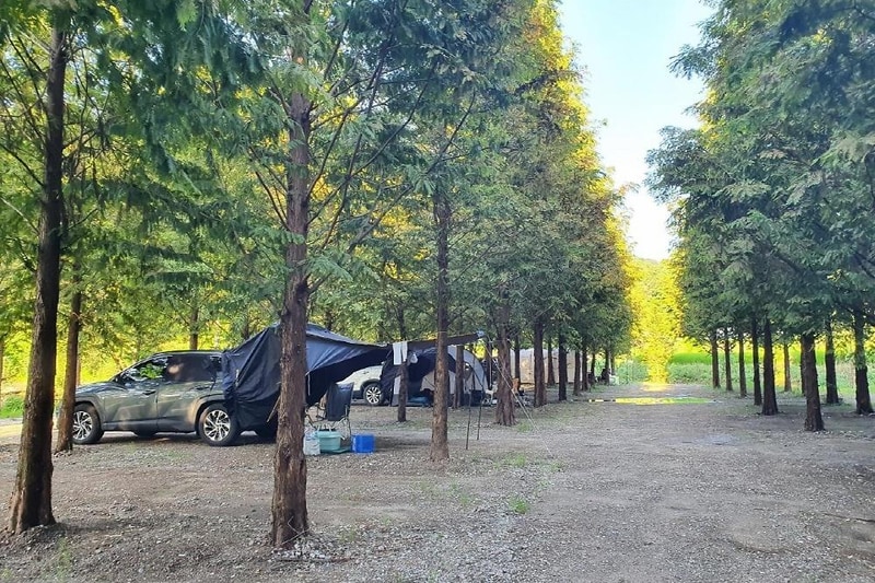 더힐링식물원 야영장 시설 사진 16