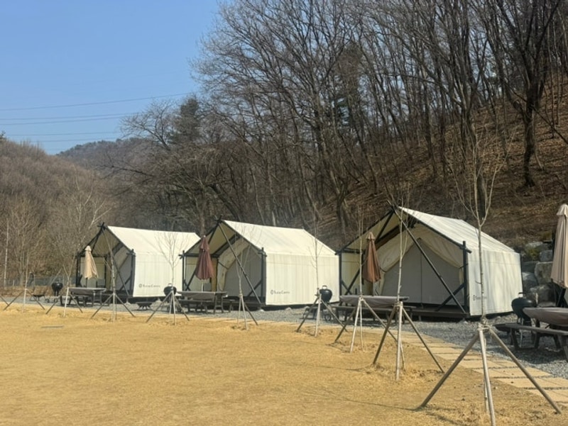 오매기744 대표 사진