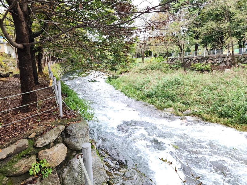 유명산밸리 캠핑장 시설 사진 18