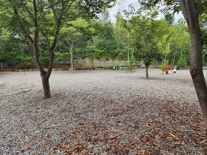 나무와 쉬리 시설 사진 10