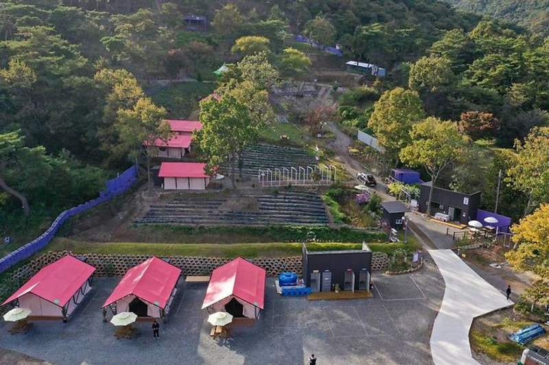 화순정원글램핑관광농원 대표 사진