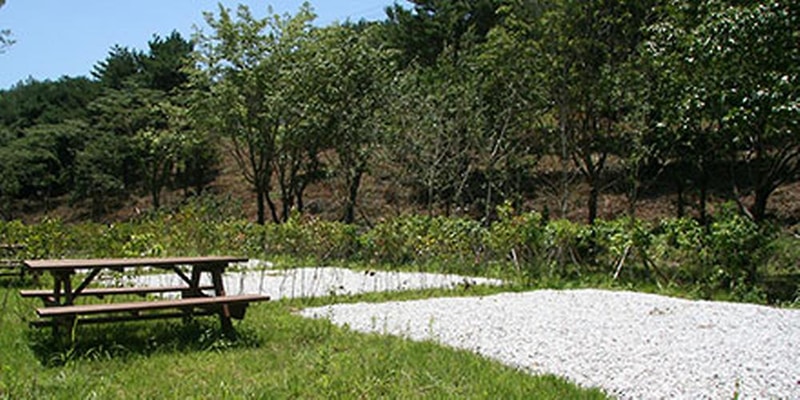 불영계곡 캠핑장 시설 사진 1