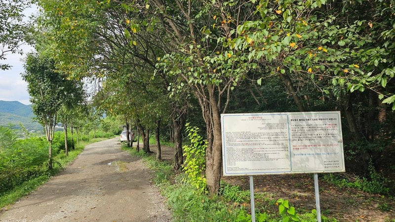 숲속에안뜰 캠핑장 시설 사진 23