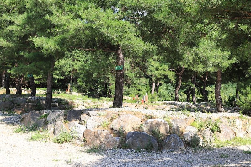 숲속의야영장 시설 사진 14