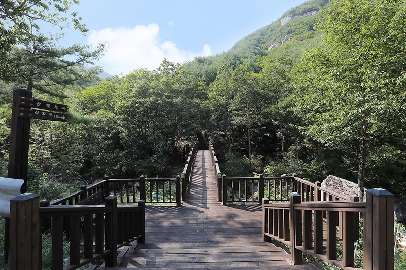 황정산자연휴양림야영장 시설 사진 4