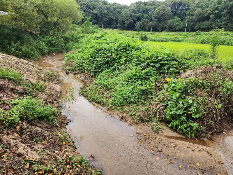 용인반딧불캠핑장 시설 사진 20